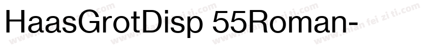 HaasGrotDisp 55Roman字体转换
